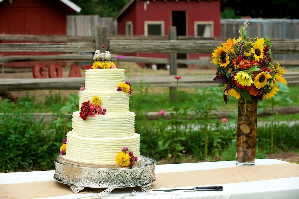 Wedding cake at Lyons Farmette wedding in Lyons, CO