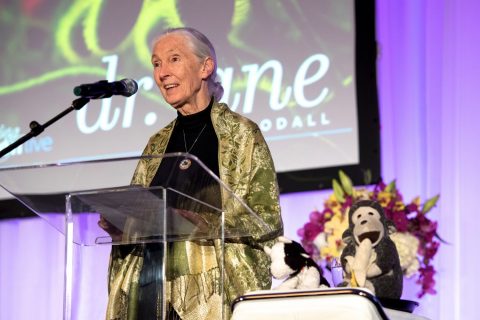 Jane Goodall Celebrity Portrait Photographer